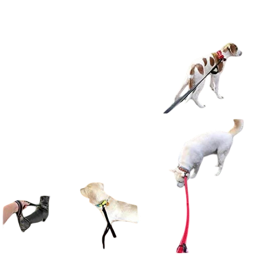 Guinzaglio per cani doppio manico da addestramento