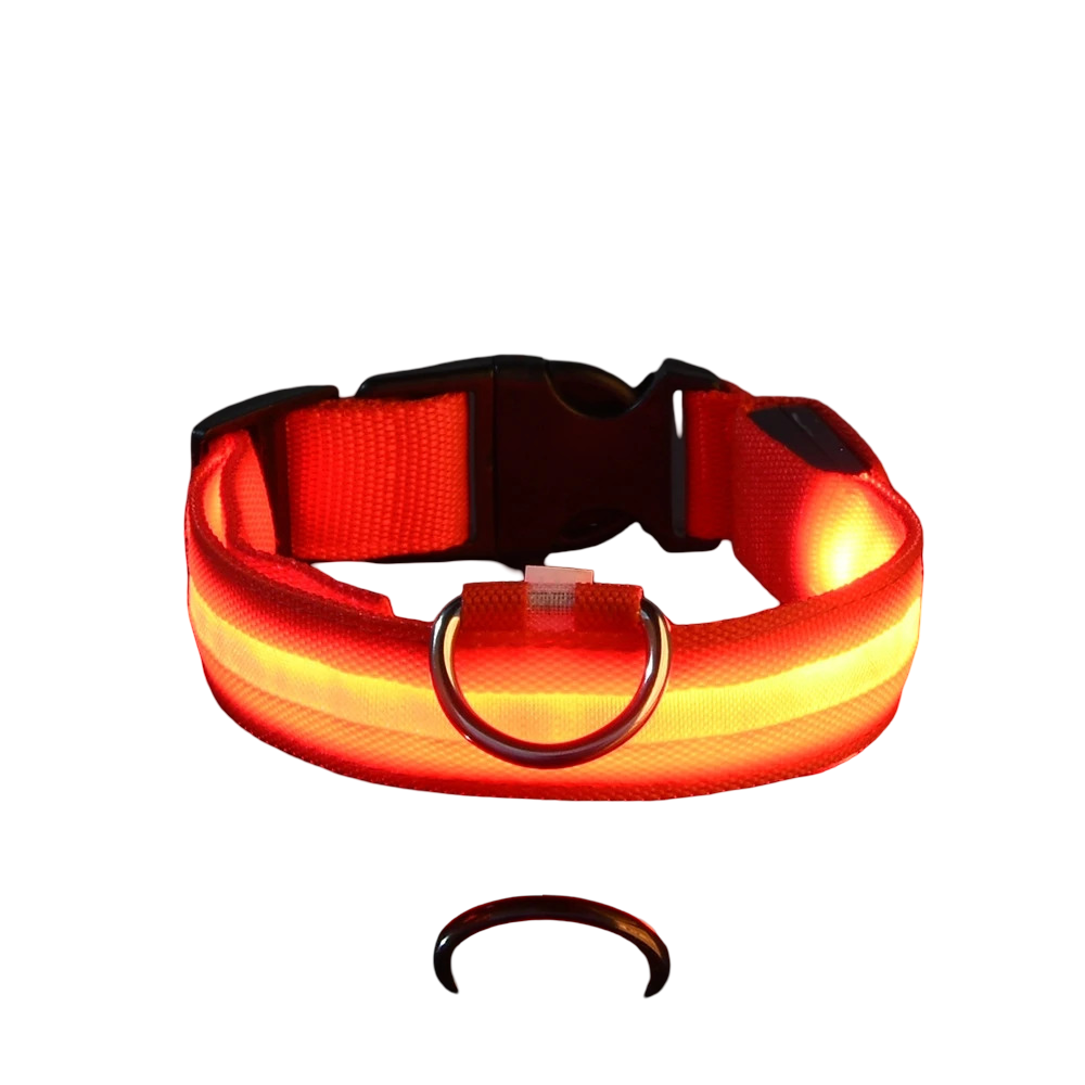 Collare luminoso LED per cani