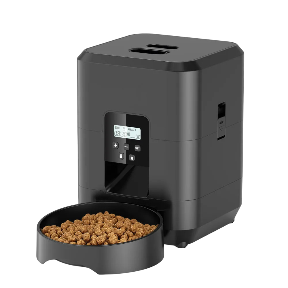 Distributore automatico cibo per gatti