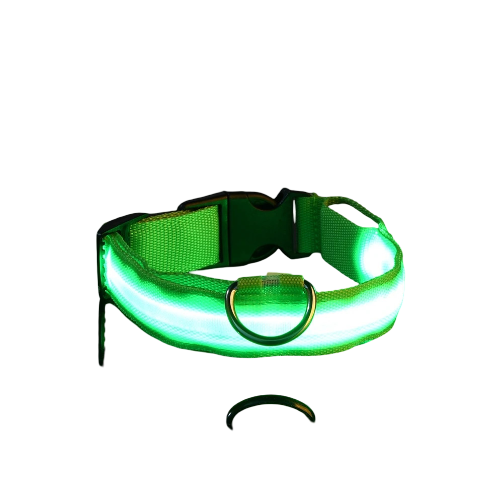 Collare luminoso LED per cani