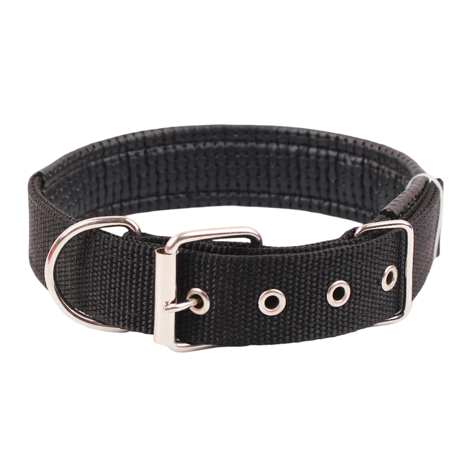 Collare per cani in nylon