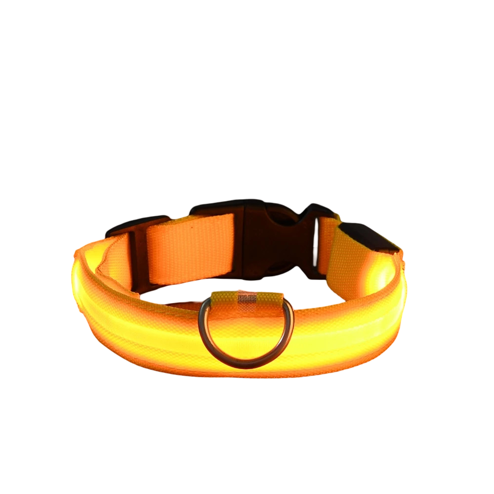 Collare luminoso LED per cani