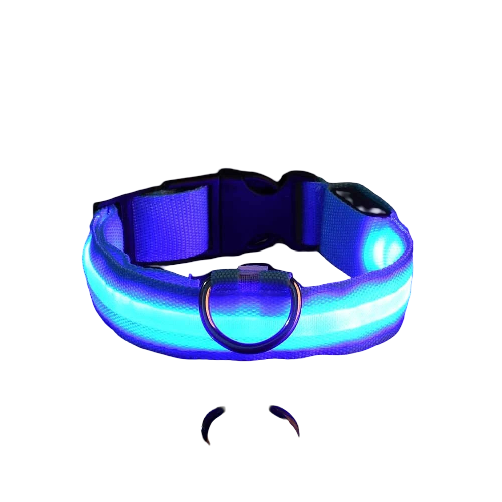 Collare luminoso LED per cani