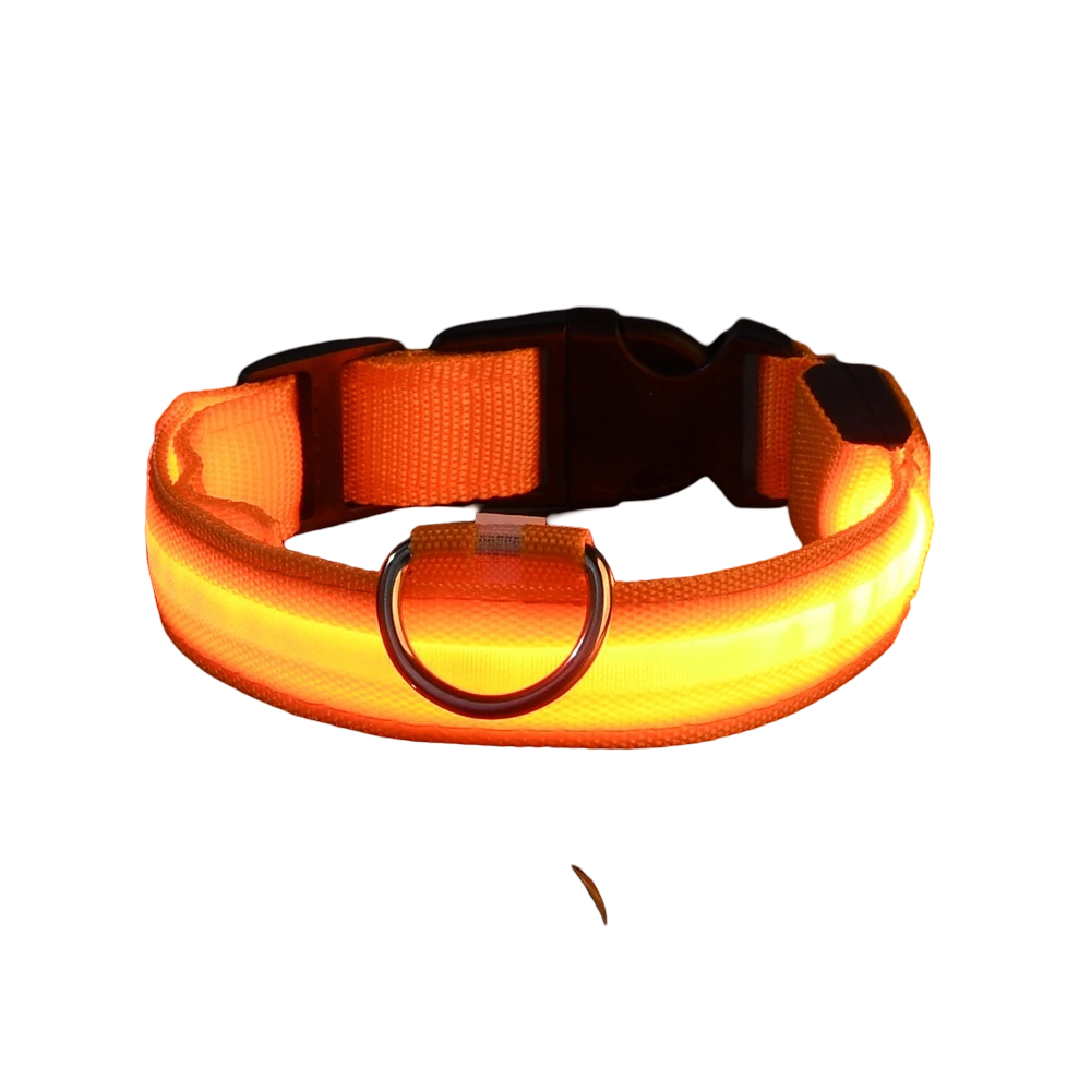 Collare luminoso LED per cani