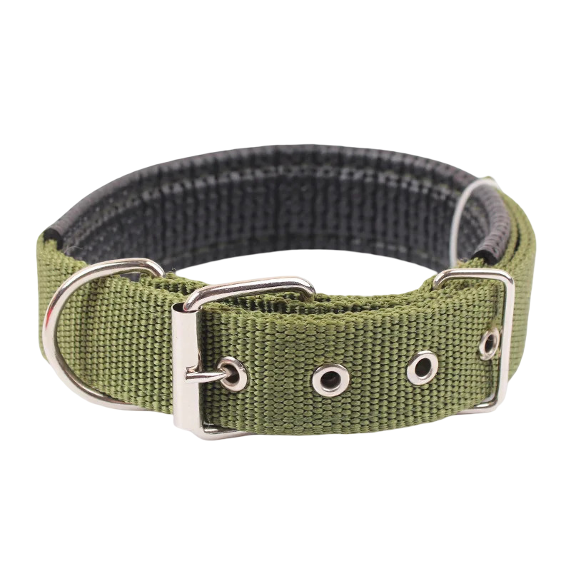 Collare per cani in nylon