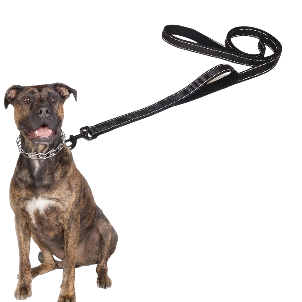 Guinzaglio per cani doppio manico da addestramento
