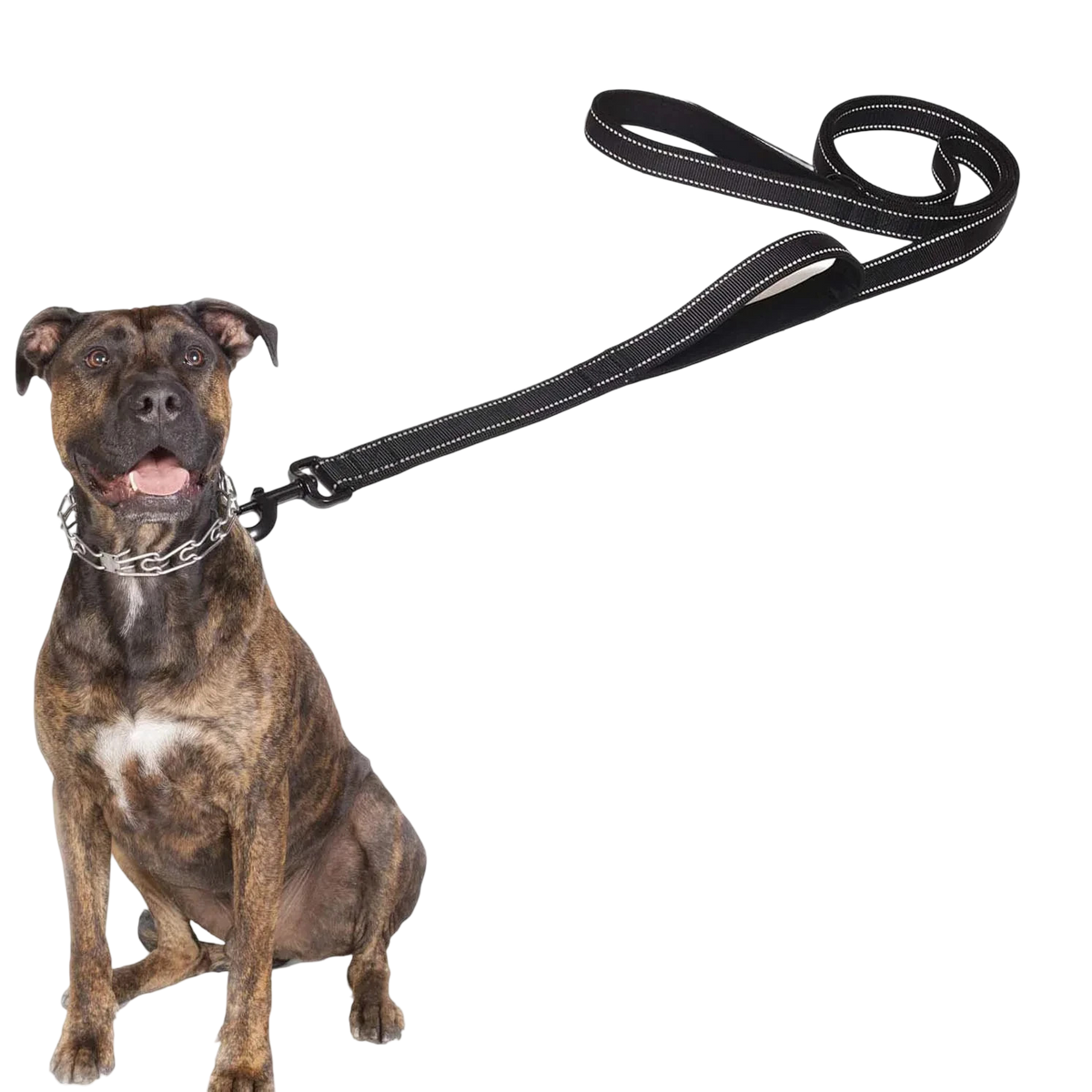 Guinzaglio per cani doppio manico da addestramento