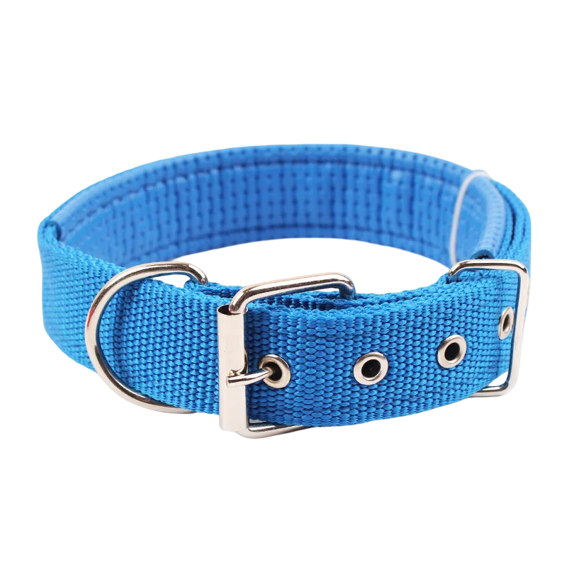 Collare per cani in nylon