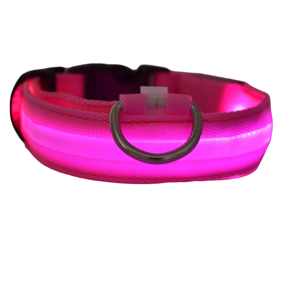Collare luminoso LED per cani