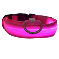 Collare luminoso LED per cani