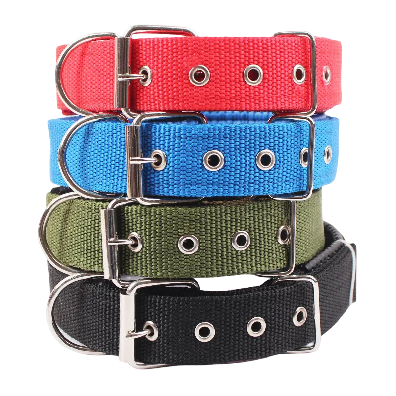 Collare per cani in nylon