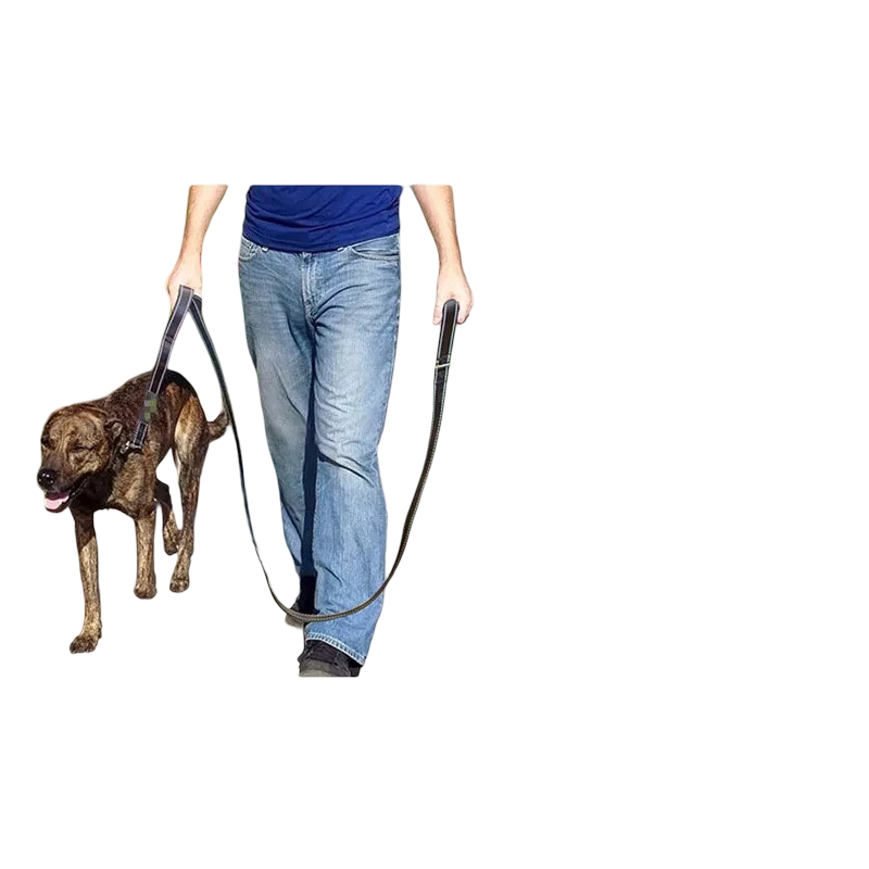Guinzaglio per cani doppio manico da addestramento