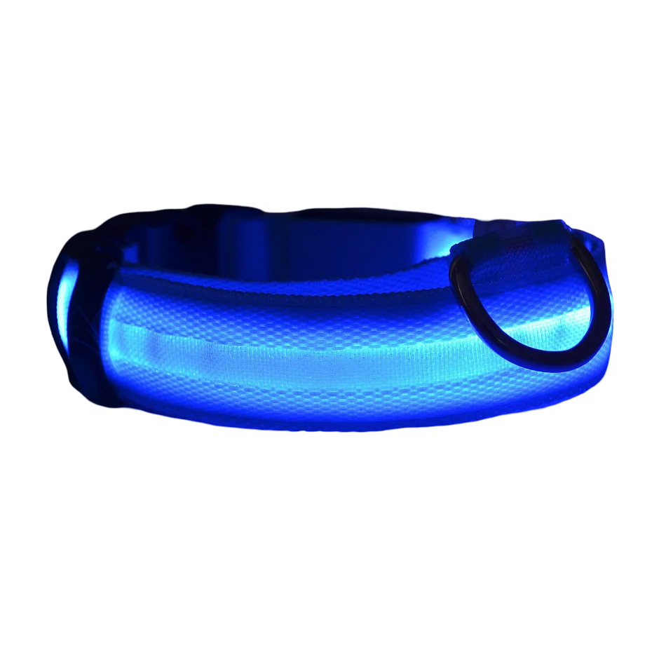 Collare luminoso LED per cani