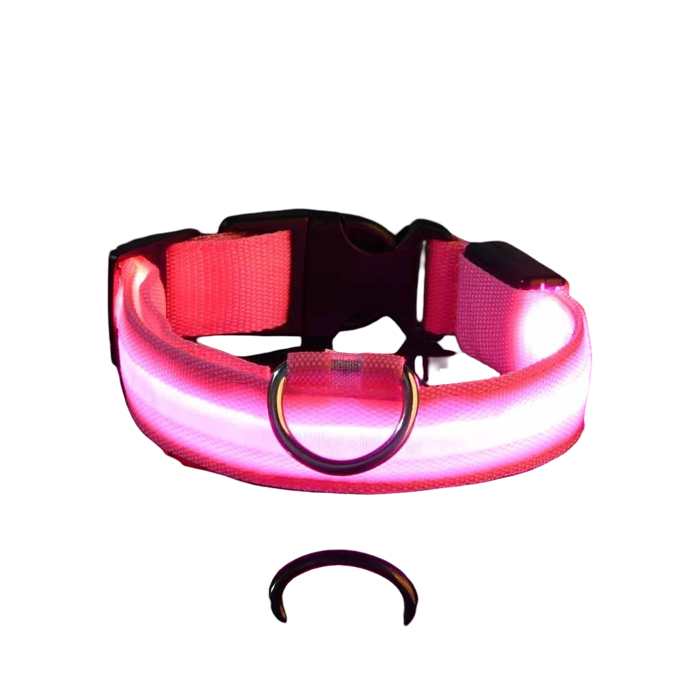 Collare luminoso LED per cani