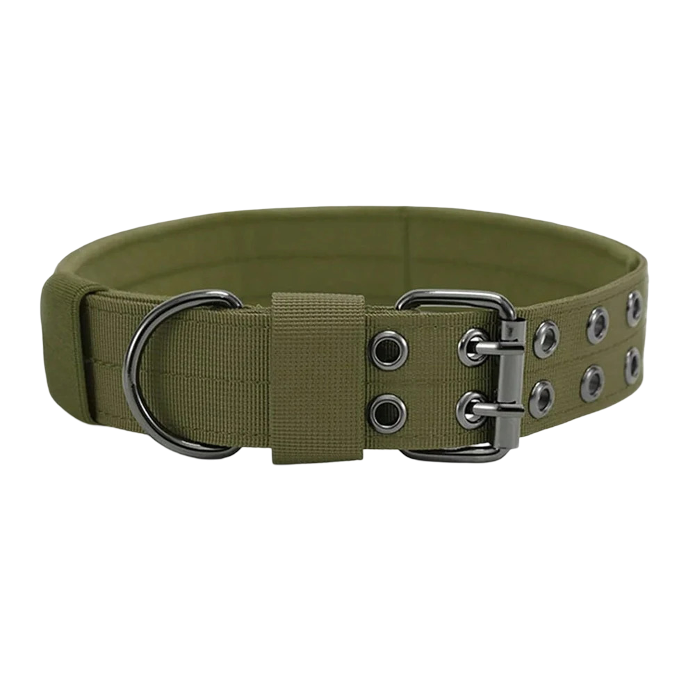 Collare tattico militare per cani