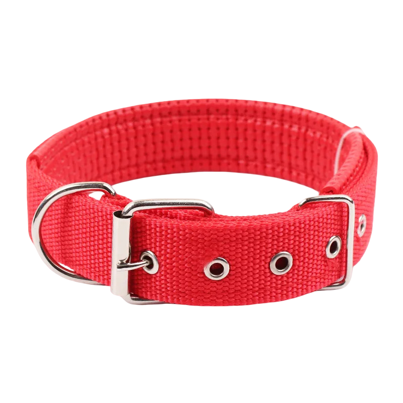 Collare per cani in nylon
