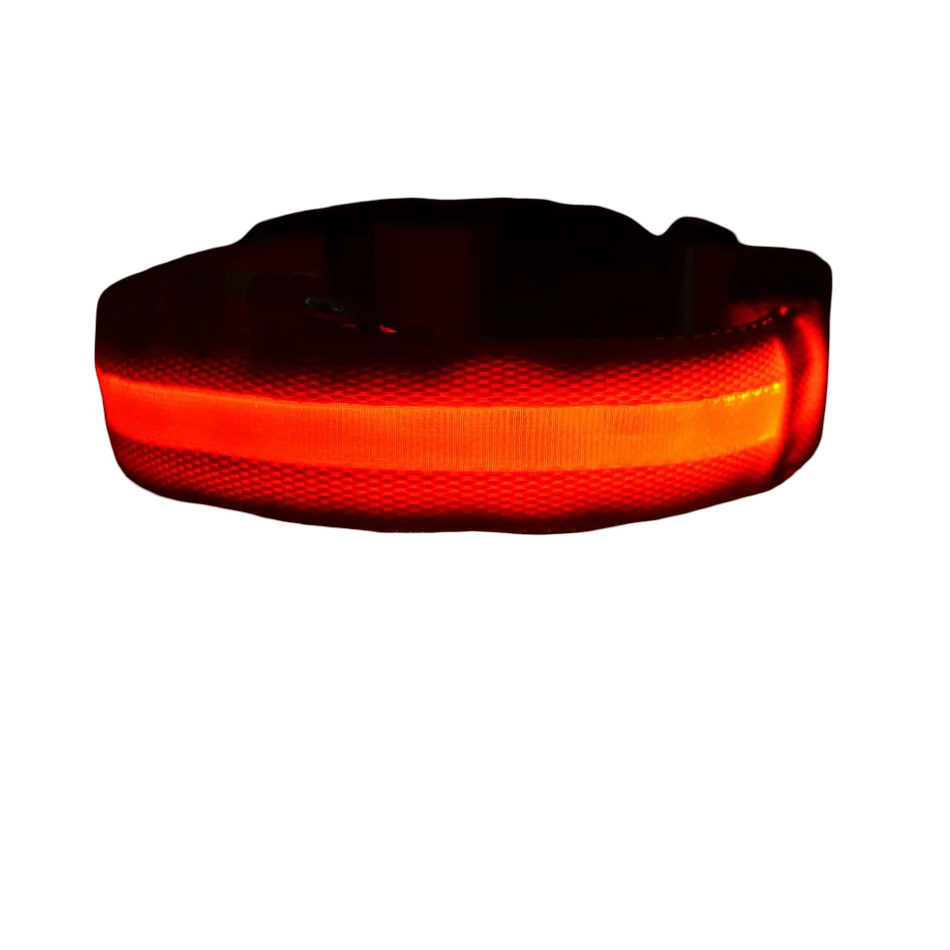 Collare luminoso LED per cani
