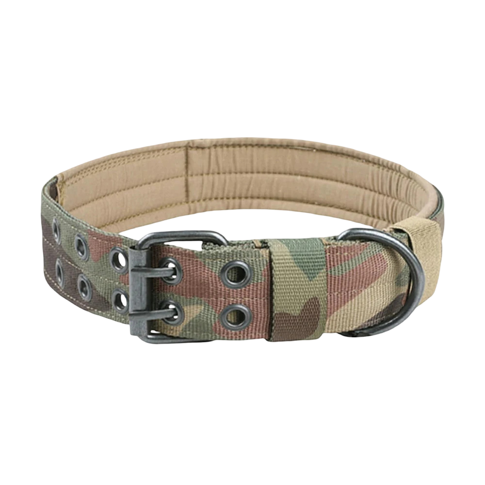 Collare tattico militare per cani